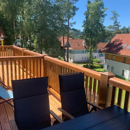 Kapy Lipno *