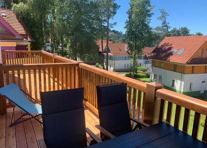 Kapy Lipno *